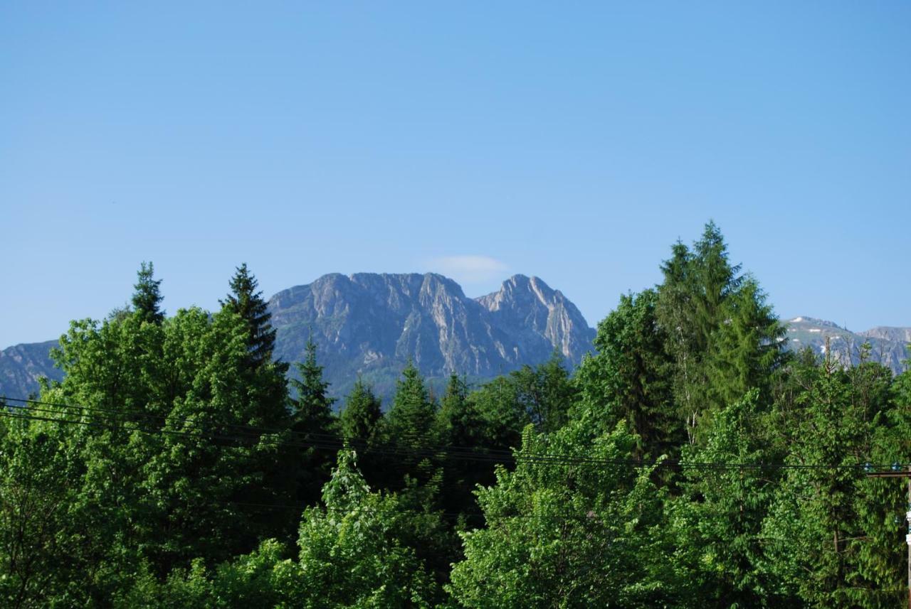 Willa Pod Bandera Zakopane Esterno foto